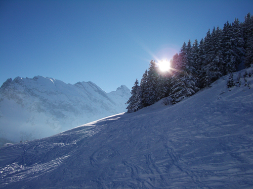 Ski Training